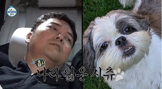 자동차 가격 트레이너로 즐거운 일상 속 PT에 결국 눈물난다 전현무 나이 부탁으로 동네 친구 성훈 집 위치 차이