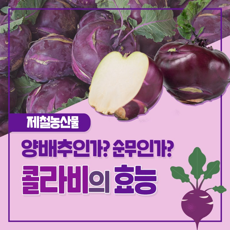 콜라비 효능 먹는법 01