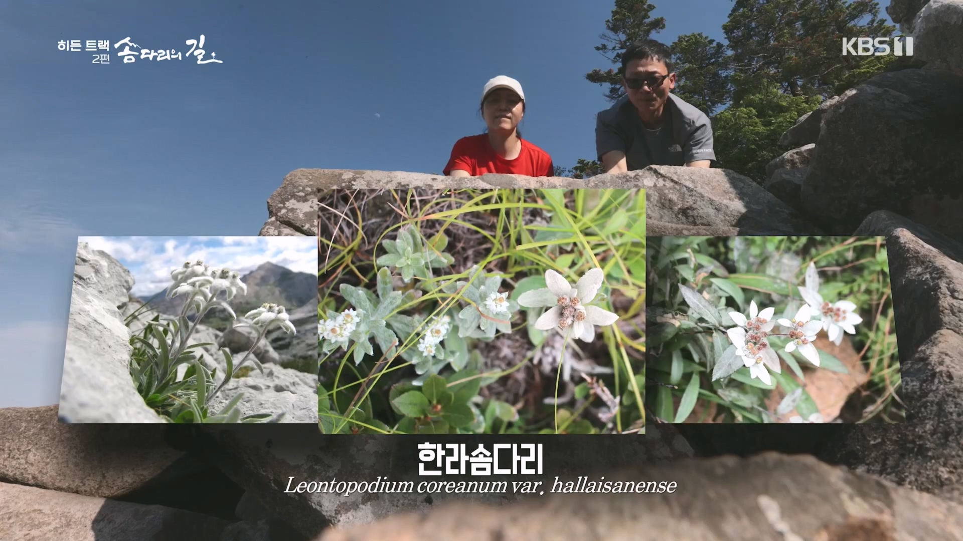 다큐 인사이트.E02.231215p.H264-F1RST.mp4_20231216_185221.223.jpg