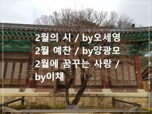  좋은 시/2월 by서윤덕/2월의 시 by오세영/2월 예찬 by양광모/2월에 꿈꾸는 사랑/by이채