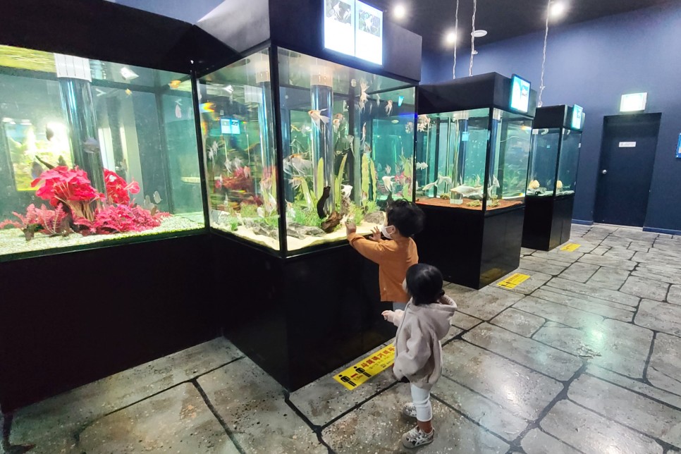 부천 아쿠아리움 부천 아쿠아리움먹이주기 체험 18