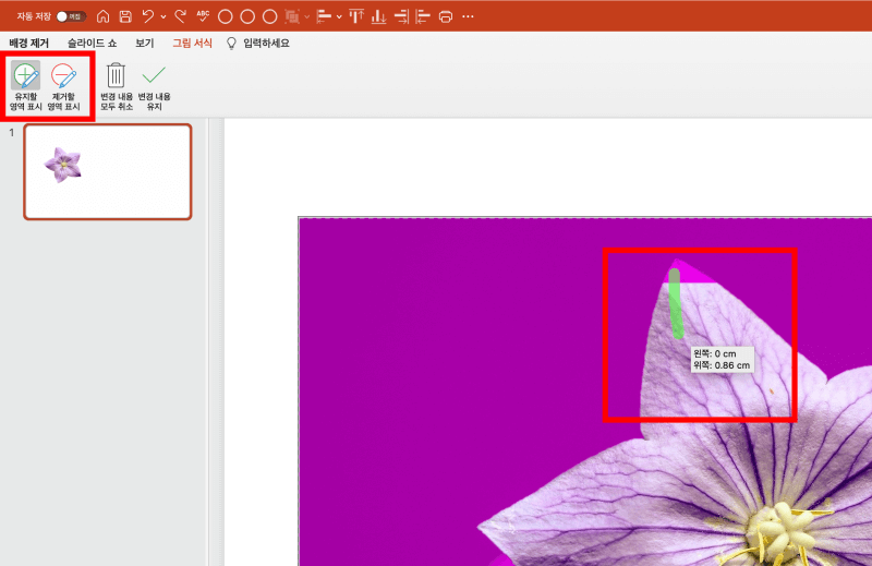배경제거-영역표시