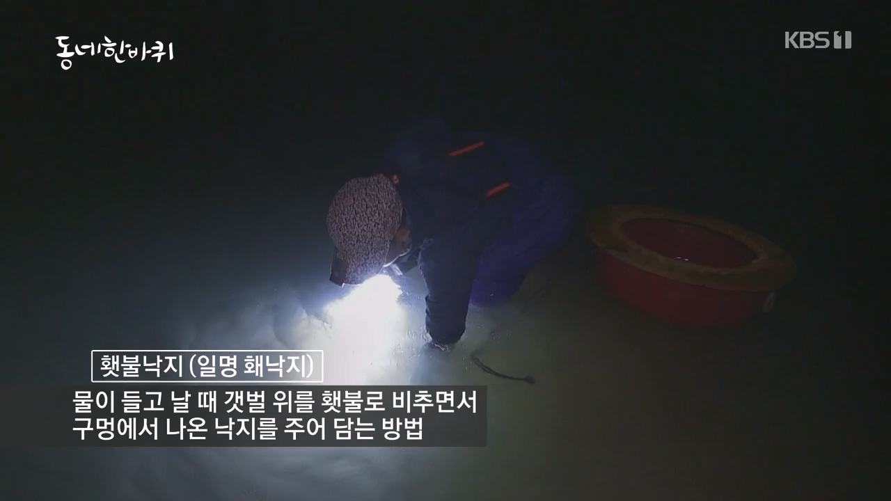 동네 한 바퀴.E258.240128p-NEXT.mp4_20240128_182042.492.jpg