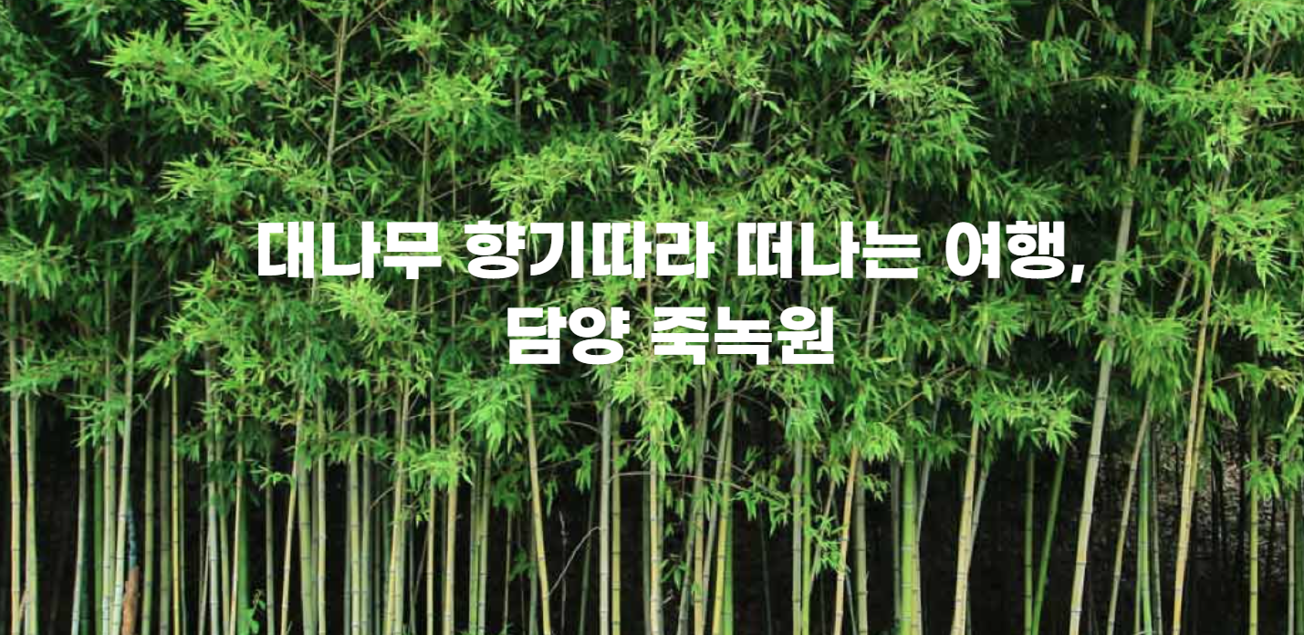 담양 죽녹원 설명 이미지