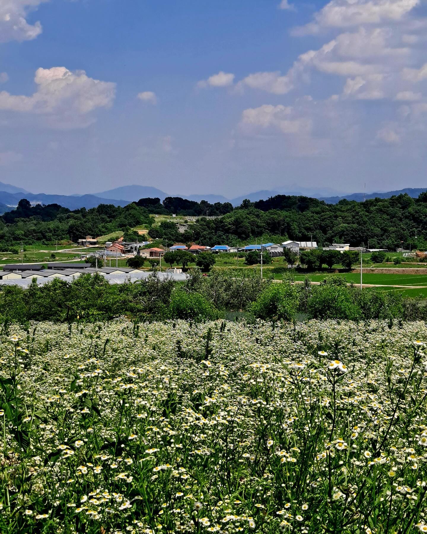 충주 해 뜨는 집 민박
