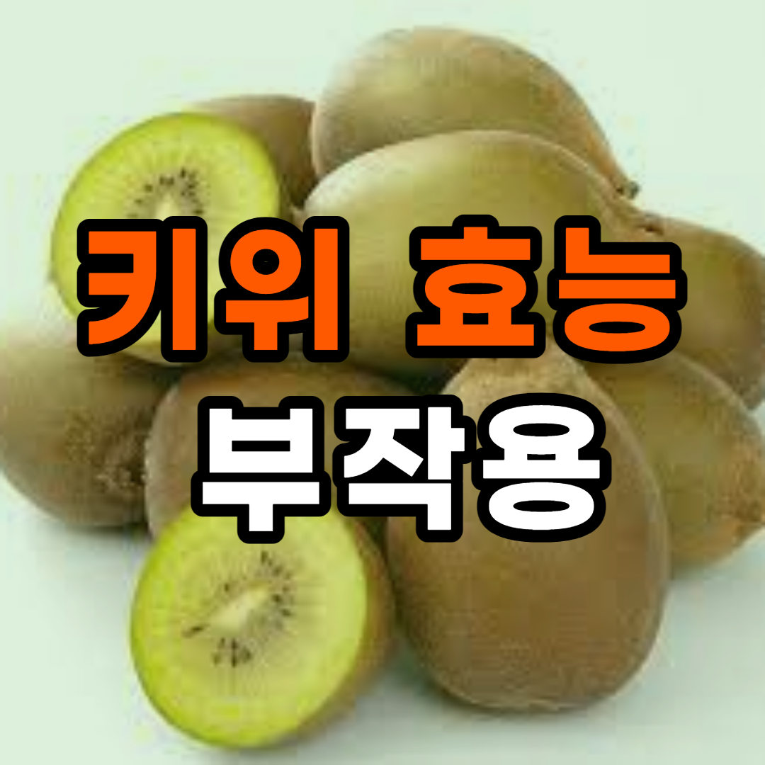  키위 효능 10가지 및 부작용, 키위 영양성분