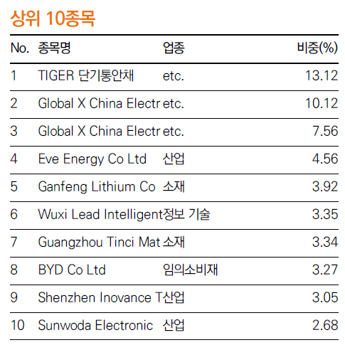 TIGER 차이나전기차SOLACTIVE 보유 상위 10종목