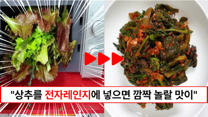 “이제 상추 쌈으로 드시지마세요” 생으로 먹는 것보다 맛있고 영양가 높게 익혀 먹는 상추 요리 2가지