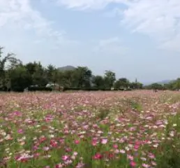 물의 정원
