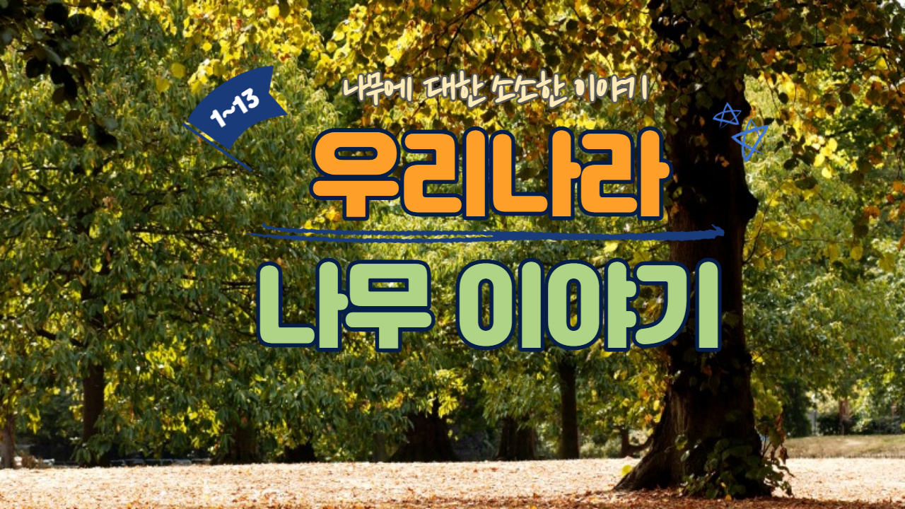  우리나라 나무 이야기 (1~13)