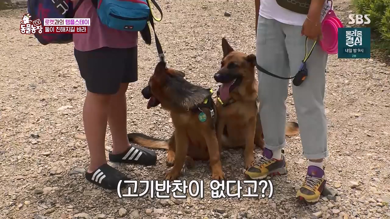 TV 동물농장 1189화 다시보기.ts_20240922_161953.520.jpg