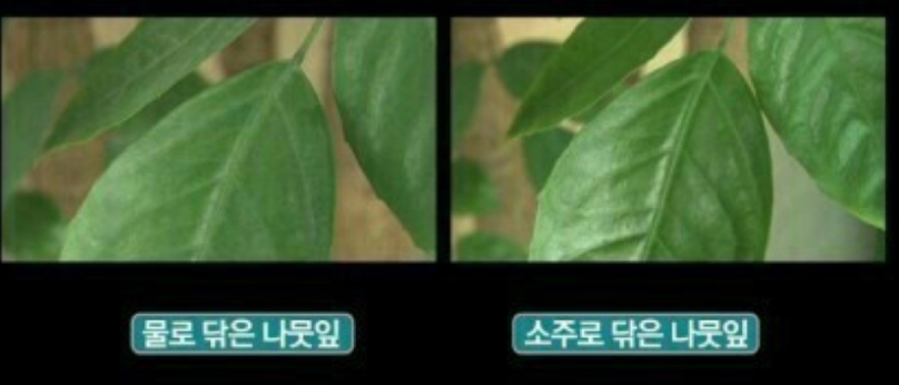 주부9단이라면 꼭 알아야할 소주사용법 - 주부9단이라면 꼭 알아야할 소주사용법 주부9단이라면 꼭 알아야할 소주사용법 - 주부9단이라면 꼭 알아야할 소주사용법