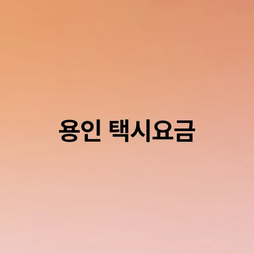용인 택시요금