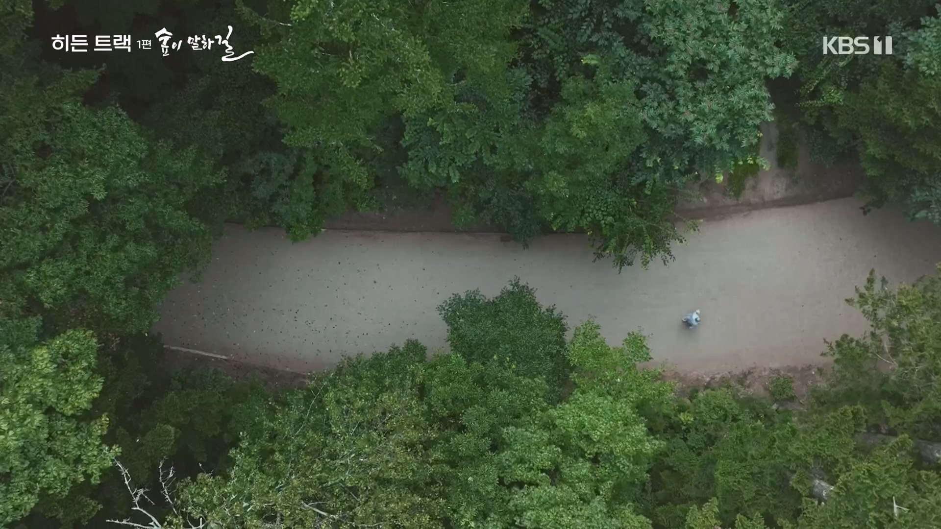 다큐 인사이트.E176.231214p.H264-F1RST.mp4_20231215_205441.612.jpg