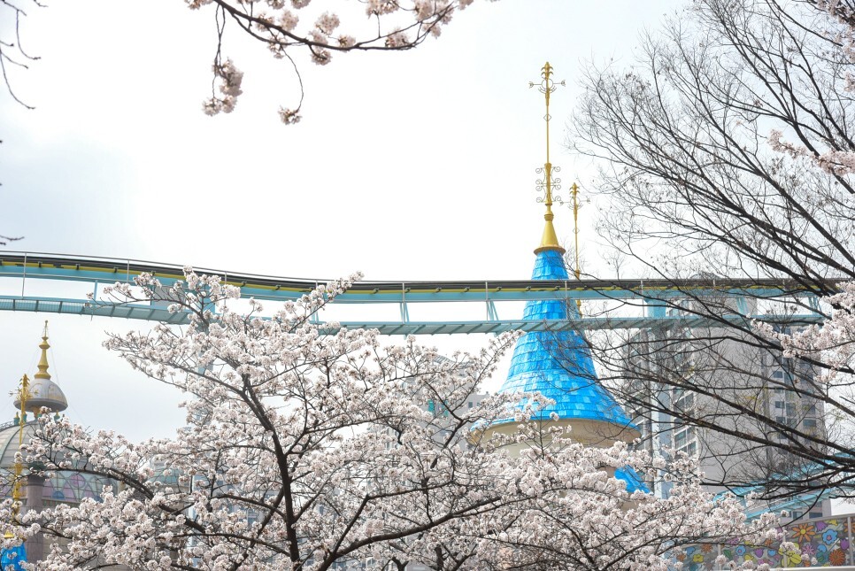 벚꽃