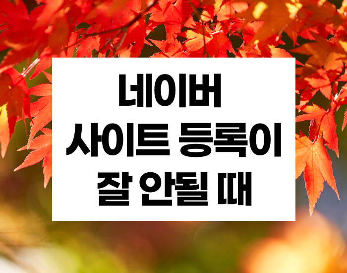  키워드광고 신청하기