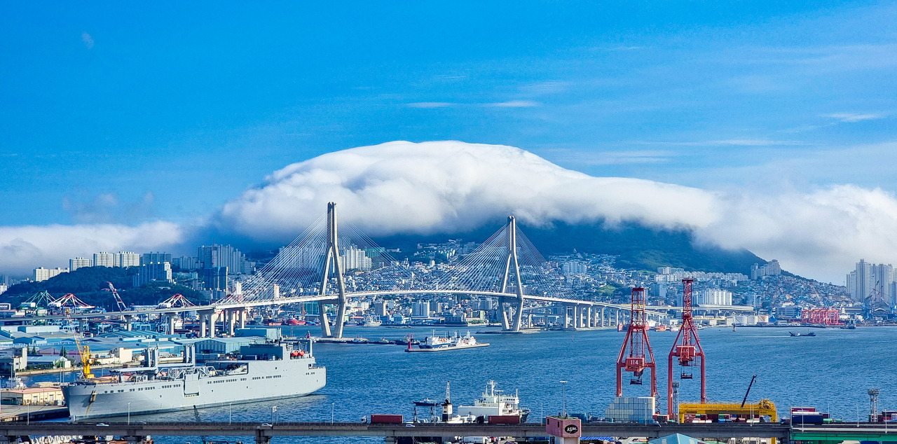  부산 각 동네 대장 아파트들 2부(부산진구, 북구, 영도구, 기장군 등)