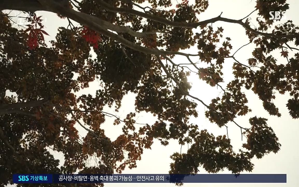 꼬리에 꼬리를 무는 그날 이야기.E34.220631p-NEXT.mp4_20220702_130336.854.jpg