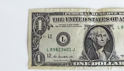 미국 달러