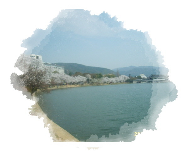  경주 보문단지 벚꽃 나들이