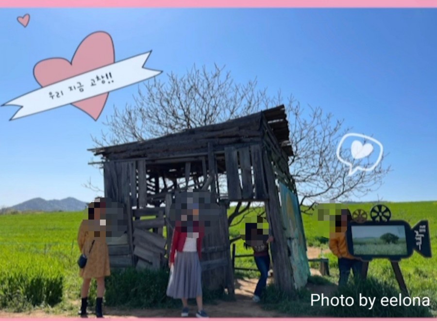  [고창여행1-2]#사인여행 #패키지 #프라이빗투어 #고창여행#청보리마을#학원농장