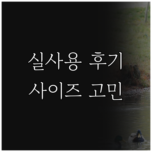 빌리빈 무쇠 그리들팬 실사용 후기 3