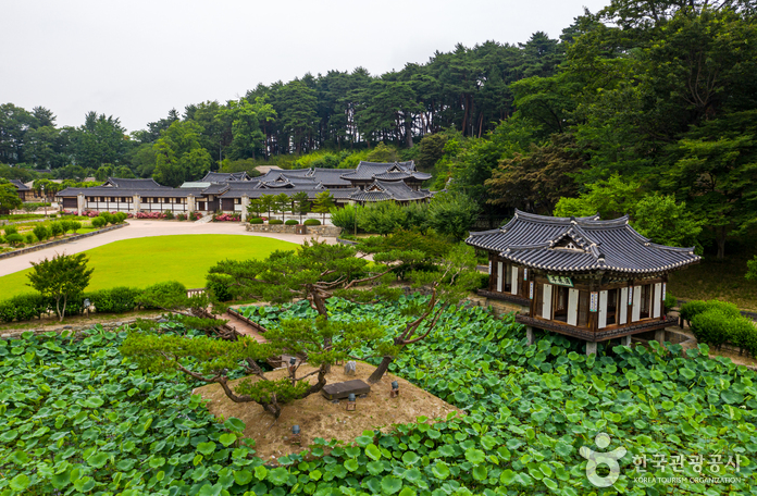 강원도 경포권 가볼만한 곳 선교장