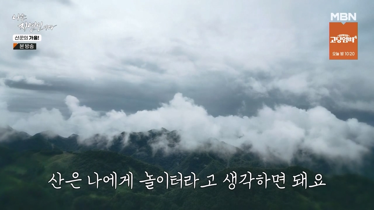 나는 자연인이다.E574.231005p-NEXT.mp4_20231005_200543.229.jpg