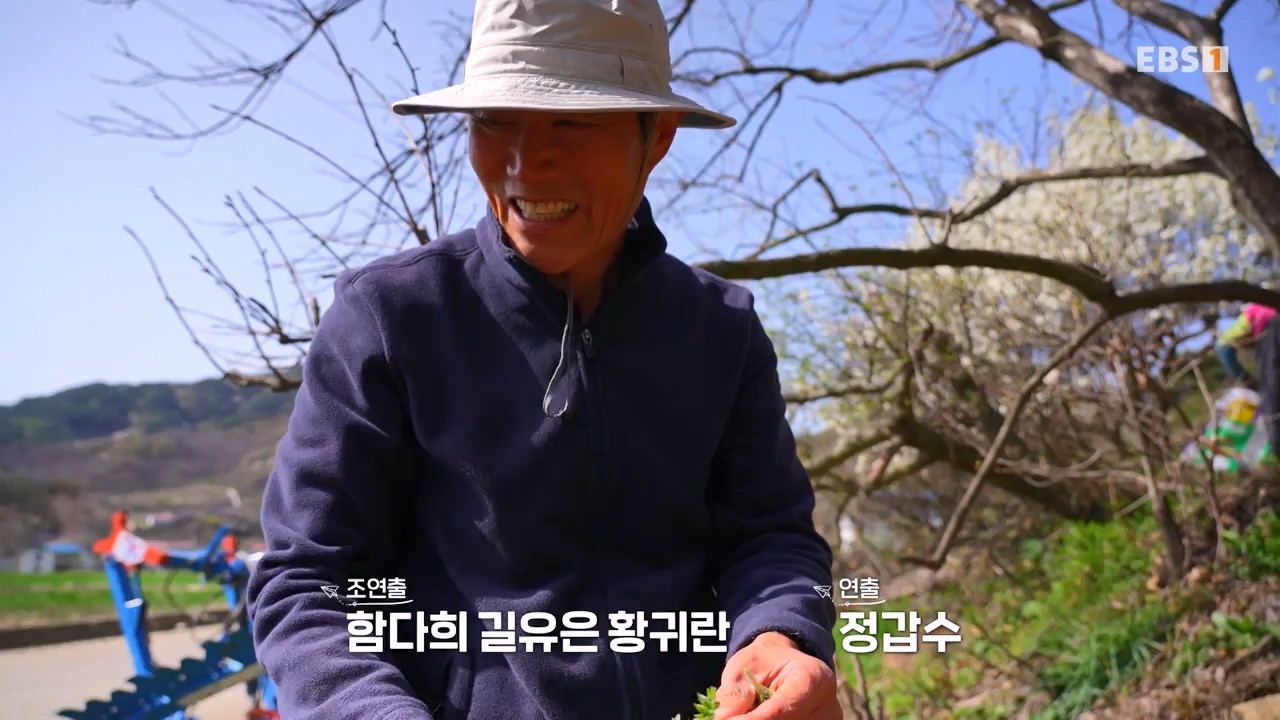 세상의모든기행함양, 봄나물 따라 함양 오일장으로.mp4_20230523_210855.887.jpg