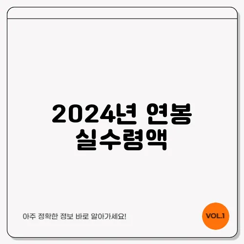 2024년 연봉 실수령액