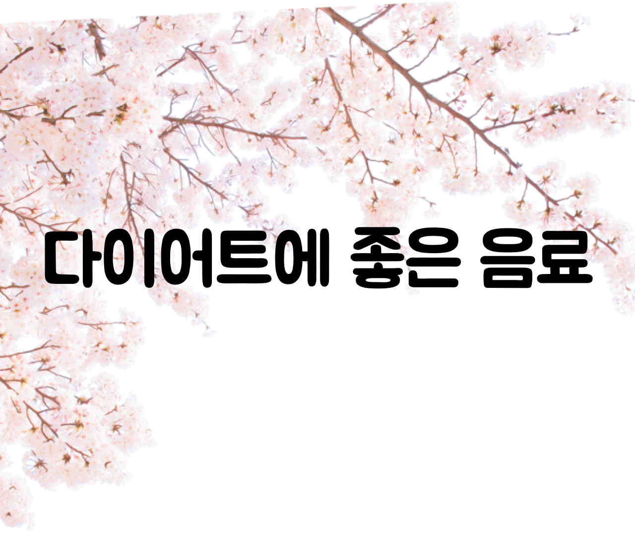  다이어트에 좋은 음료, 살 뺄 때 마시면 좋은 음료