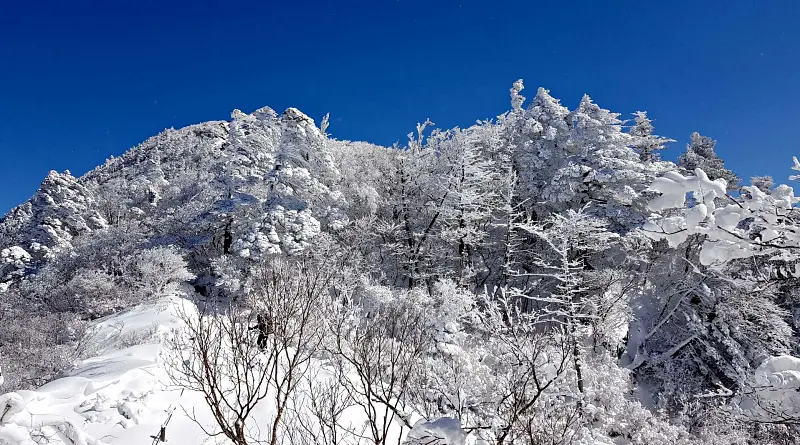 지리산 설경 상고대