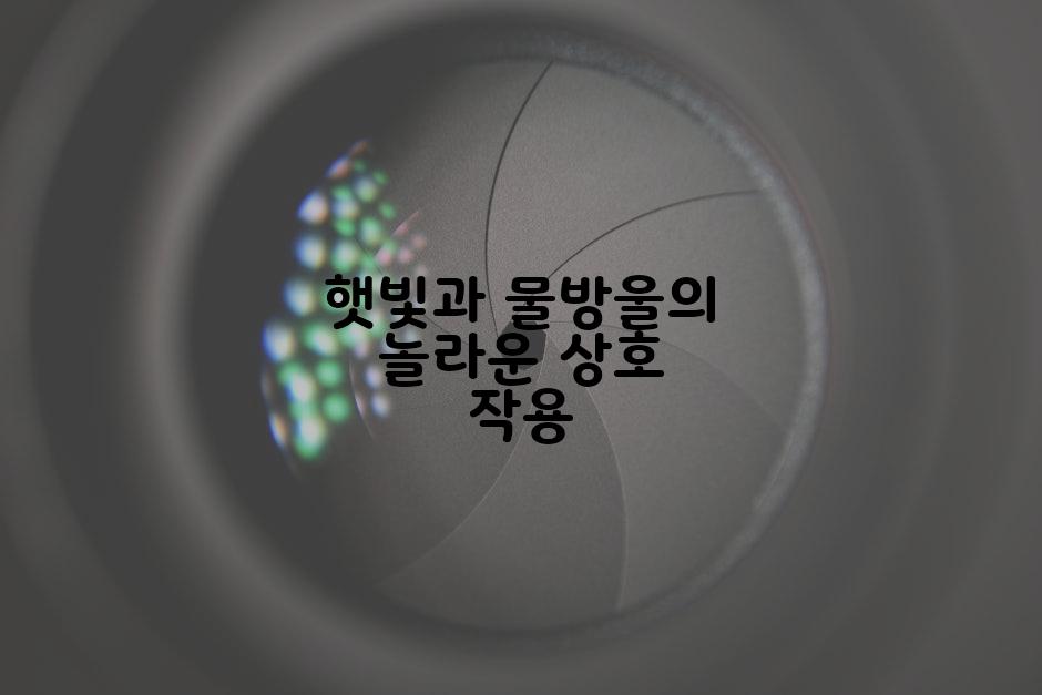 햇빛과 물방울의 놀라운 상호 작용