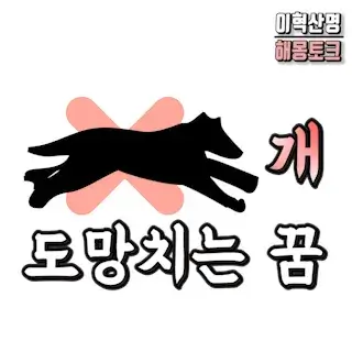 개-강아지-고양이-반려동물-도망치는-꿈-dream