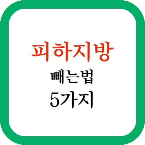 피하지방 빼는법