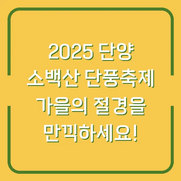 2025 단양 소백산 단풍축제 가을의 절경을 만끽하세요!