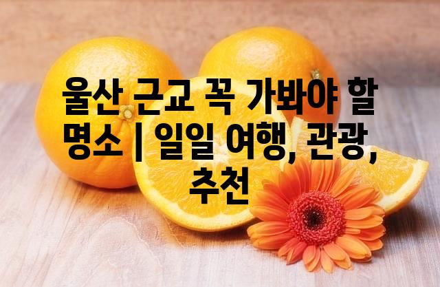 랜덤169