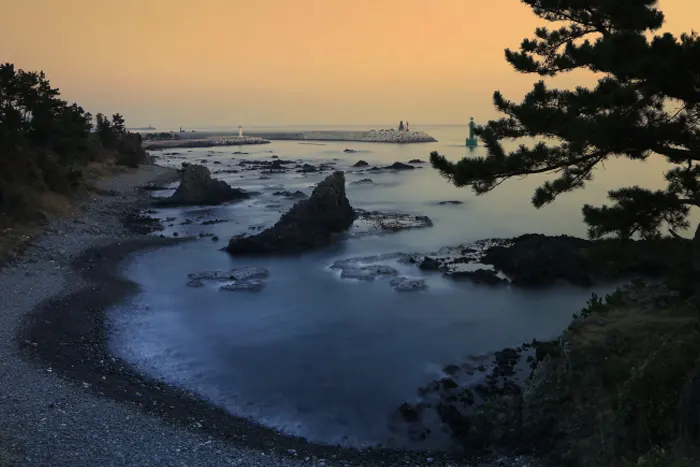 경주 양남 주상절리 전경 이미지