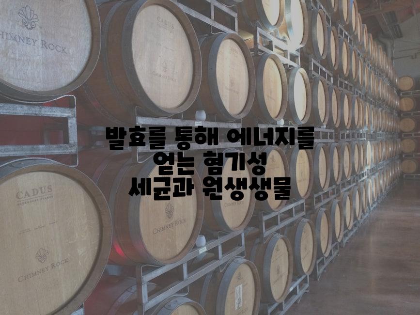 발효를 통해 에너지를 얻는 혐기성 세균과 원생생물