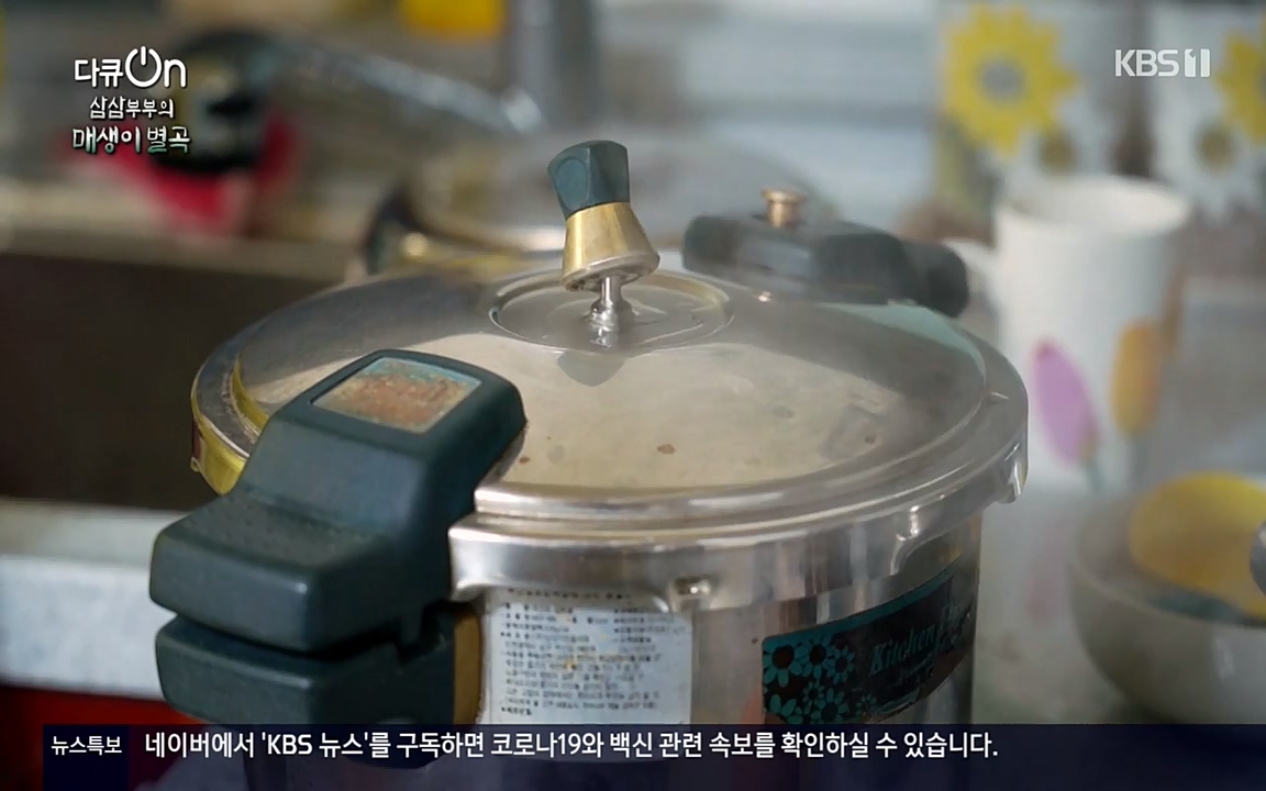 다큐 온.E131p-NEXT.mp4_20220319_174008.434.jpg