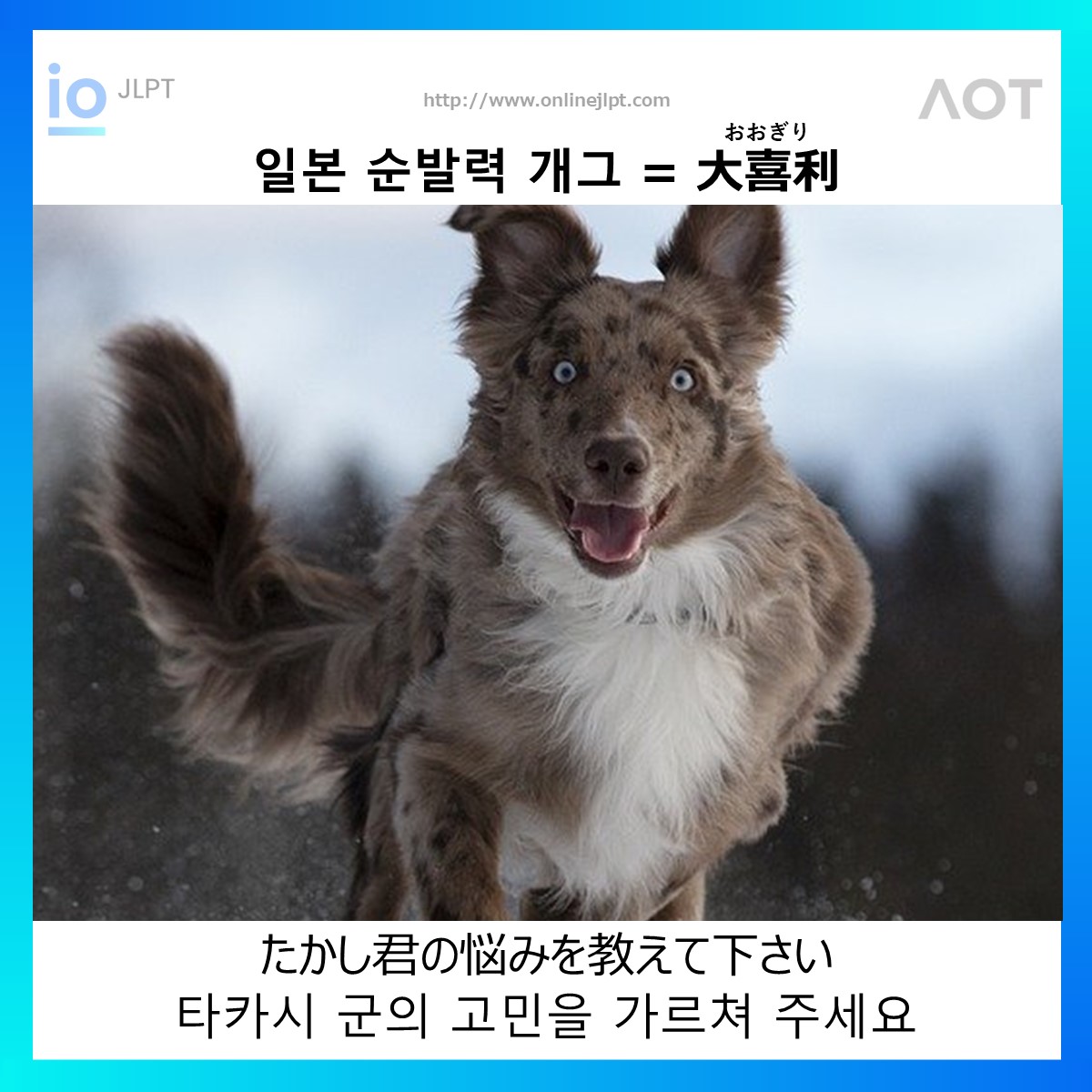 ［일본 순발력 개그 ］たかし君の悩みを教えて下さい