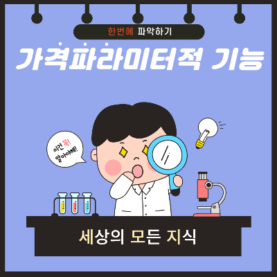 가격파라미터적 기능 용어 설명 그림