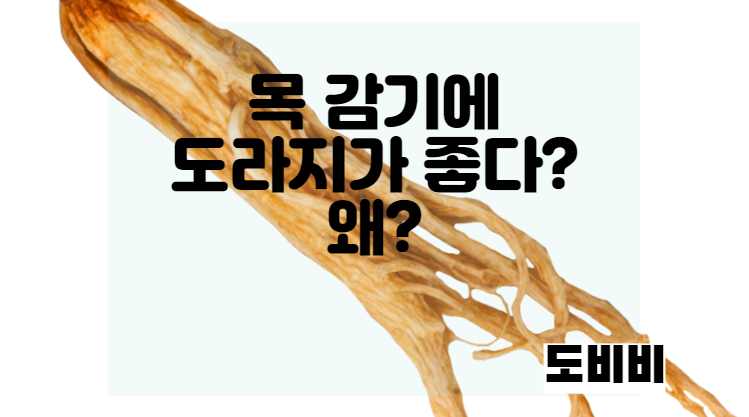 목감기에 좋은 음식 도라지