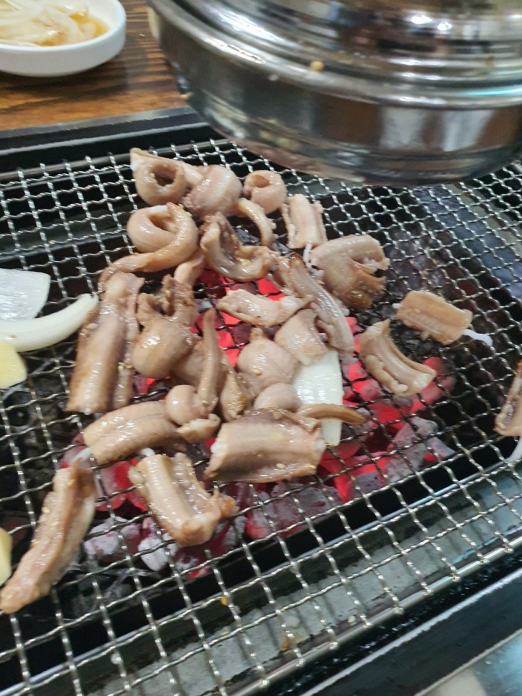바다산꼼장어 이미지