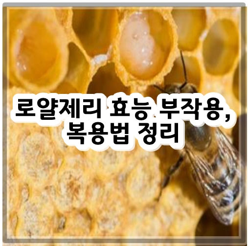 로얄제리 효능 부작용&#44; 복용법 정리