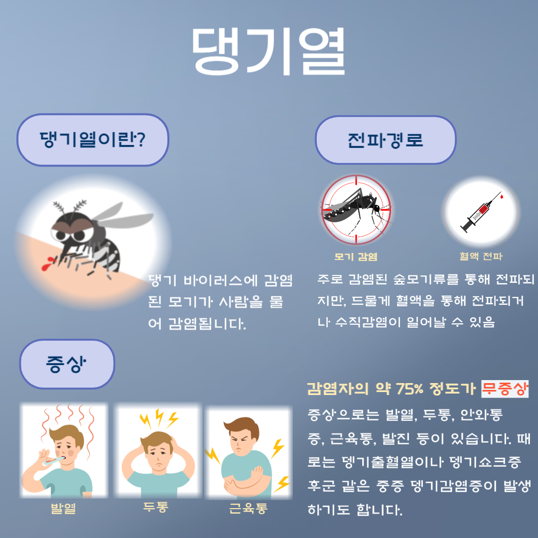 뎅기열