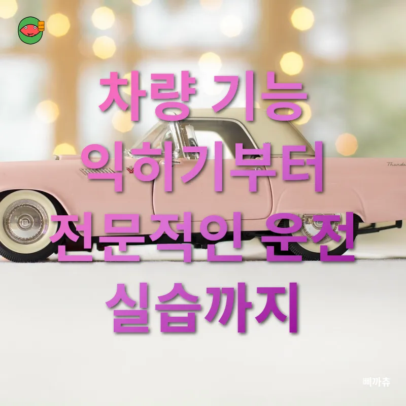 자동차 운전 교육_1