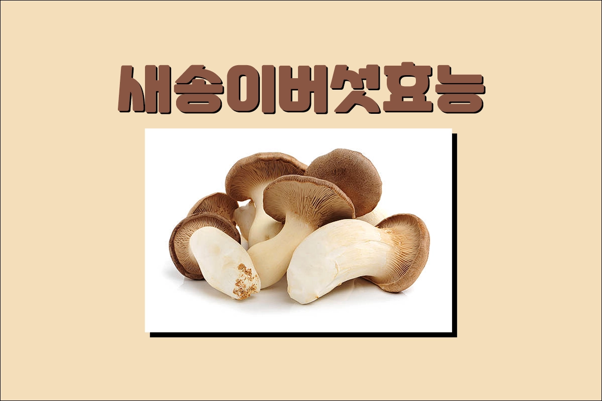 새송이버섯 효능