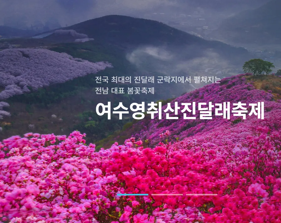 여수 영취산 진달래 축제