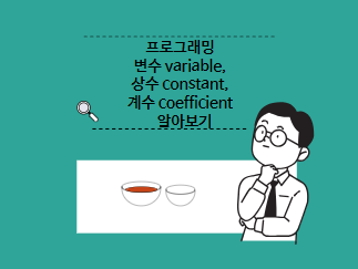 프로그래밍 변수 variable, 상수 constant, 계수 coefficient 알아보기